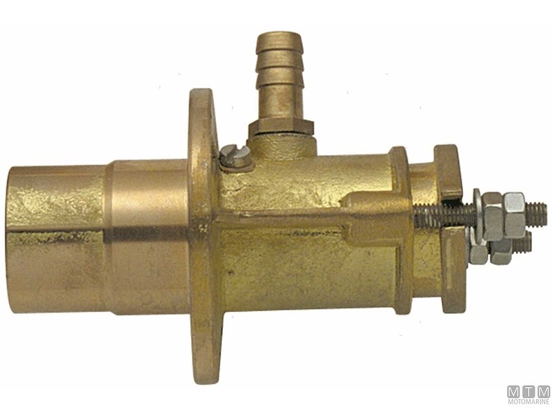 Teste Premitreccia Ri