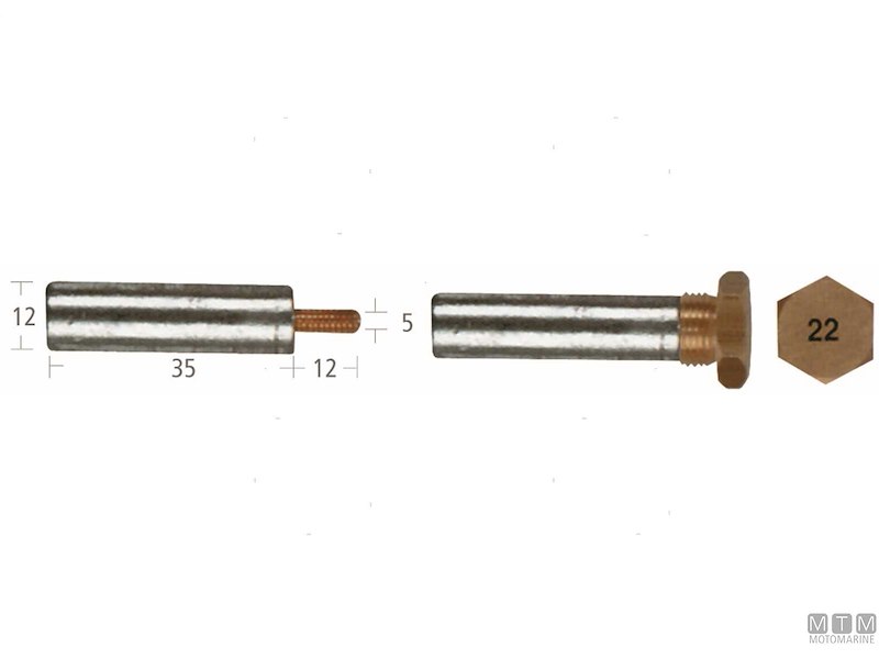 Barrotti Motore Buck