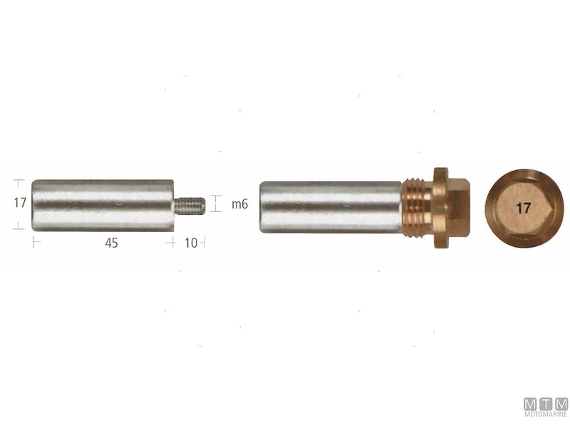 Barrotti Motore Scania