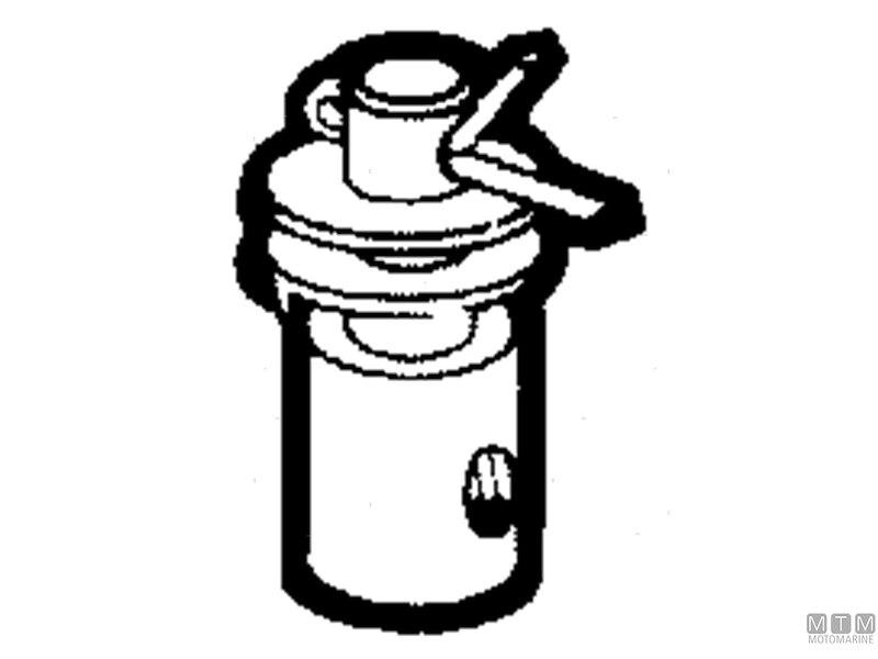 TERMINALE FILETTATO C/F 