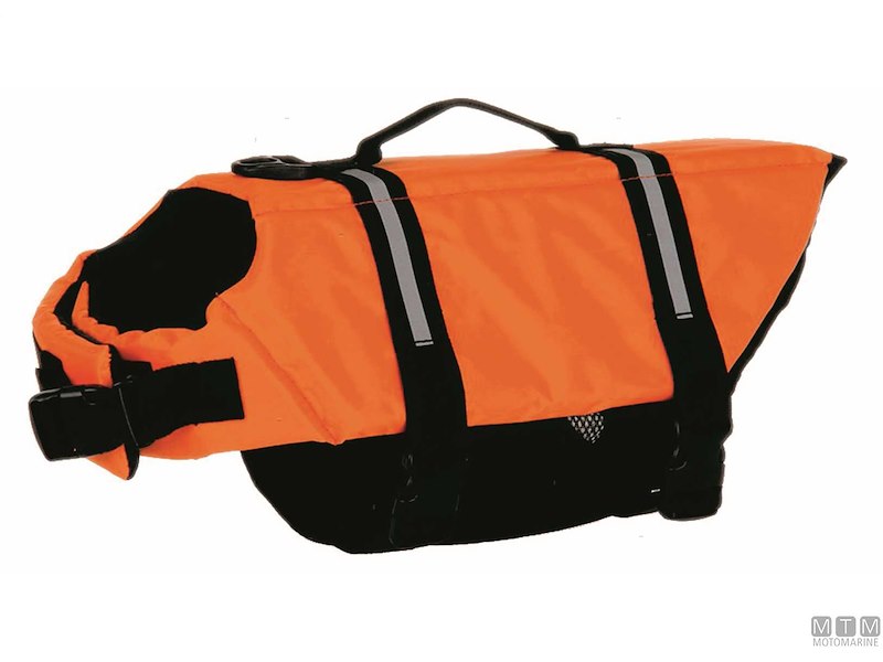 Cintura di Salvataggio Pet