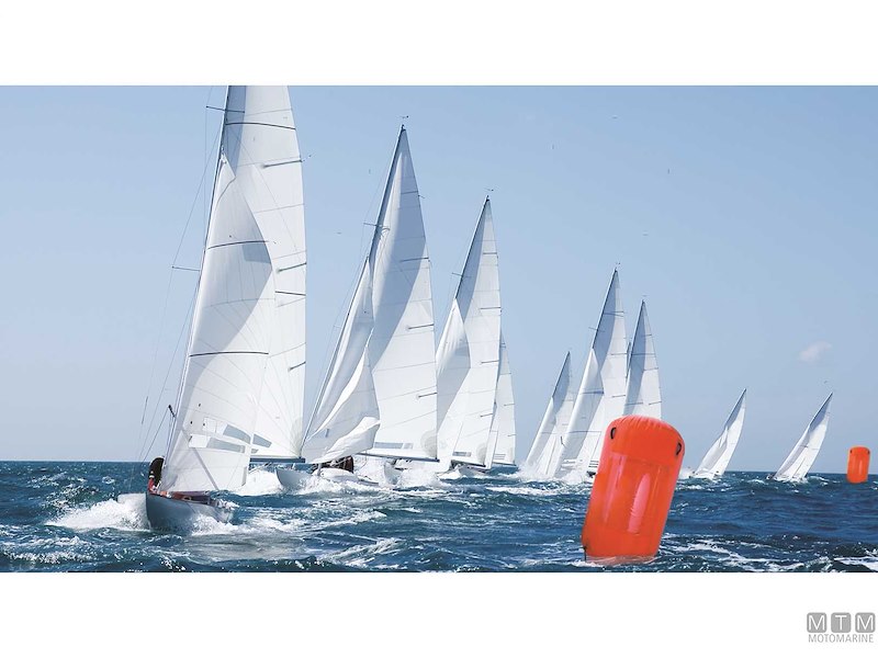 Boa Segnaletica Cilindrica Gigante