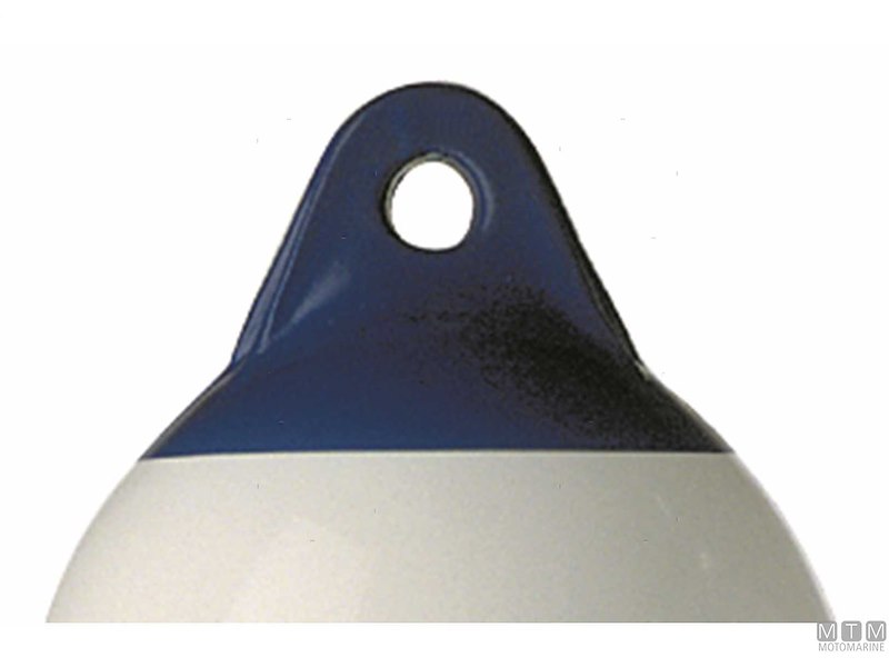 Parabordi Majoni Blue Head