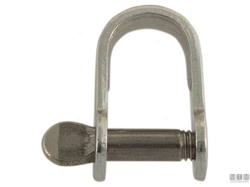 Grillo Dritto Stampato