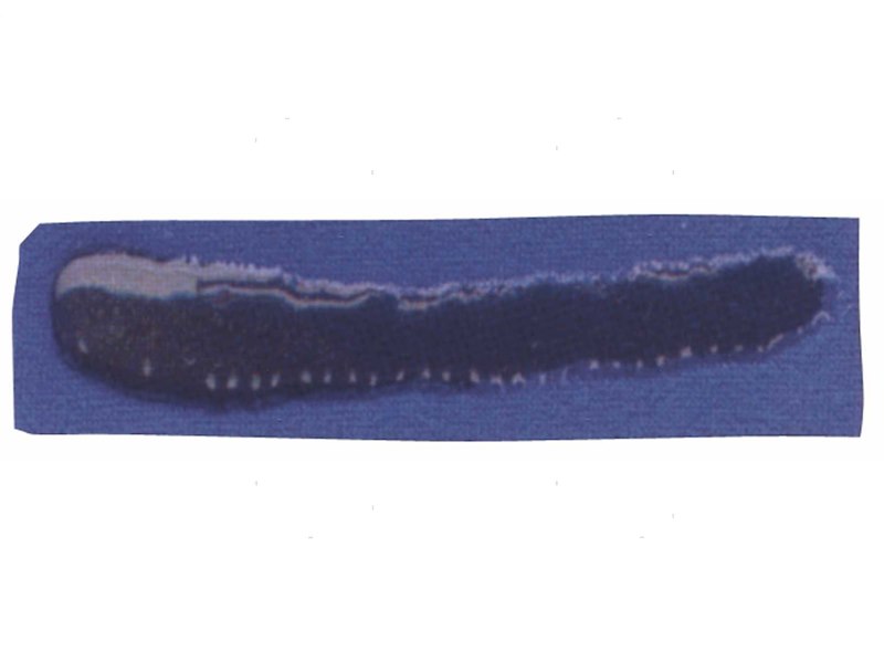 SIGILLANTE AQUASURE 28G 