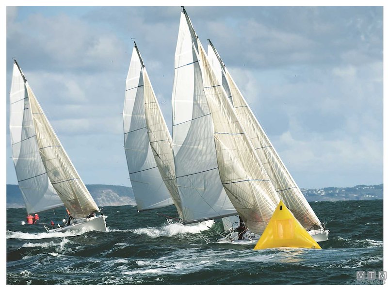 Boa Segnaletica Triangolare Gigante