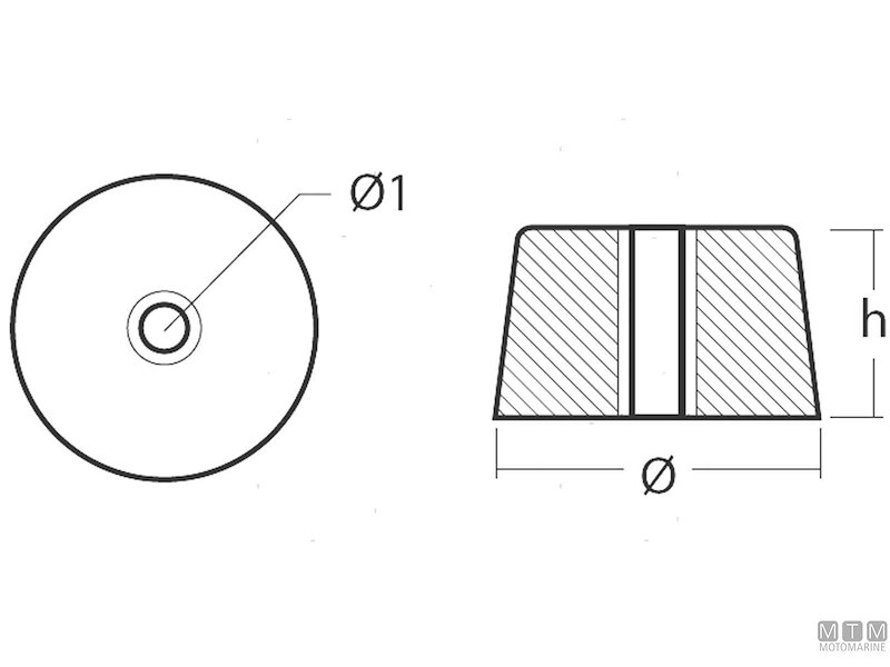 Anodo Rondella Arneson