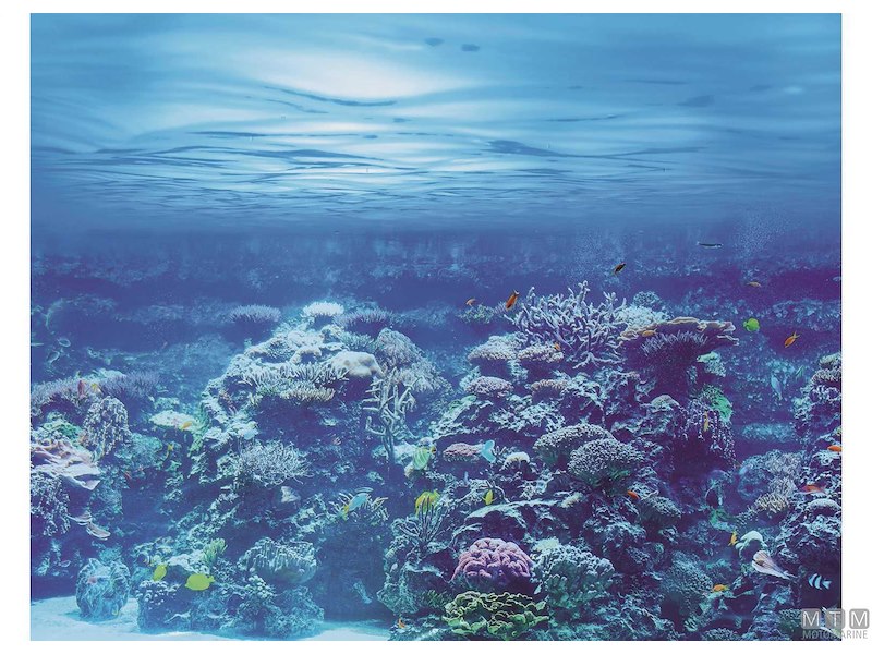 COLTELLO MAC APNEA 9 