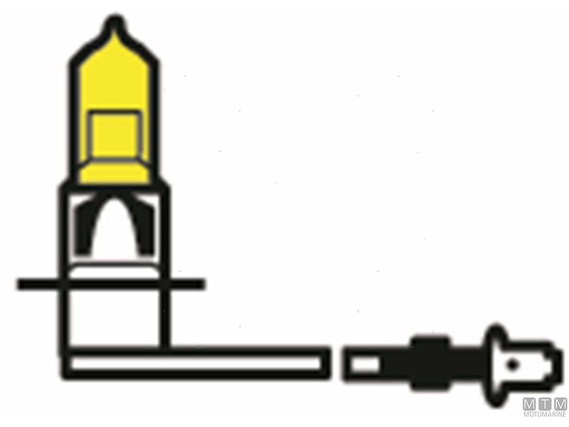 Lampadine Alogene per Fari