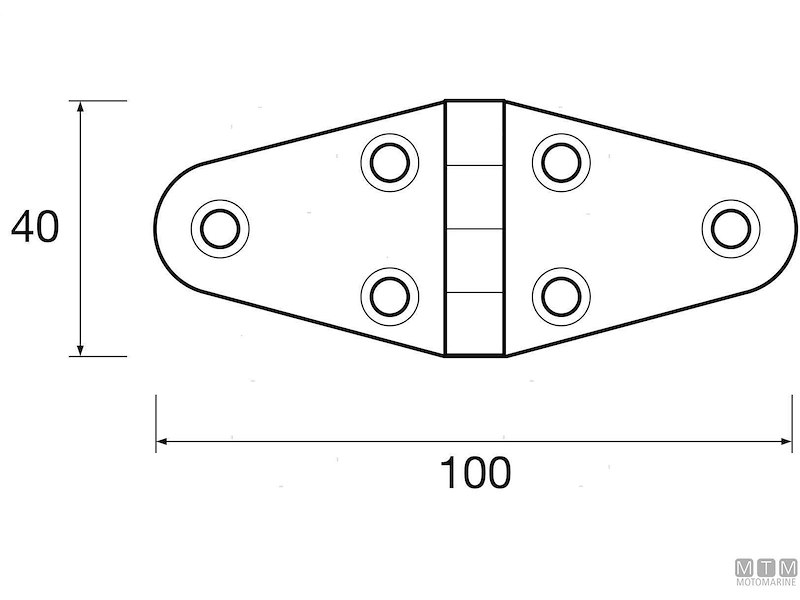 Cerniera Wing 40x100