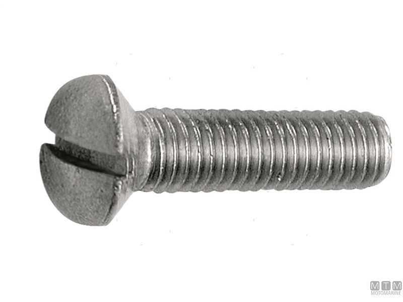 Viti Testa Piana Svasata con Calotta UNI 6110 DIN 964