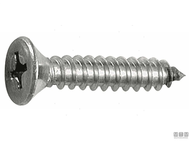 Viti Testa Piana Svasata UNI 6955 DIN 7982