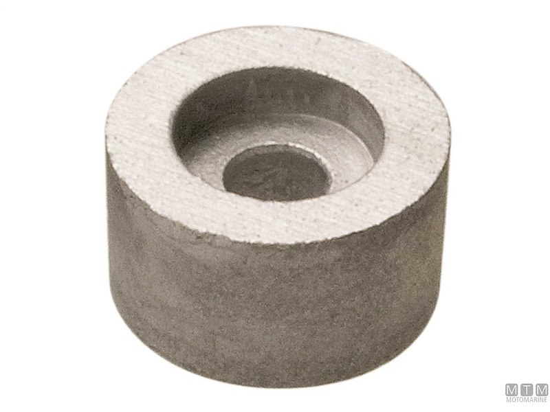 Anodi Martyr per Motori Fuoribordo Johnson/Evinrude