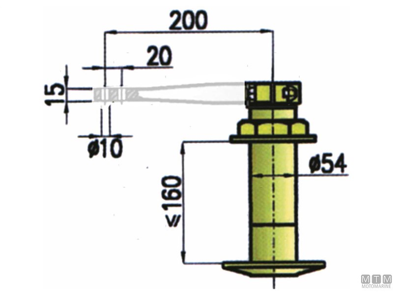 Teste Timone Passanti