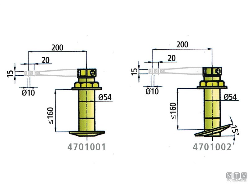 Teste Timone Passanti