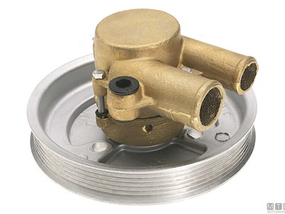 Pompa SPX Johnson F6B-9 (10-13569-01)