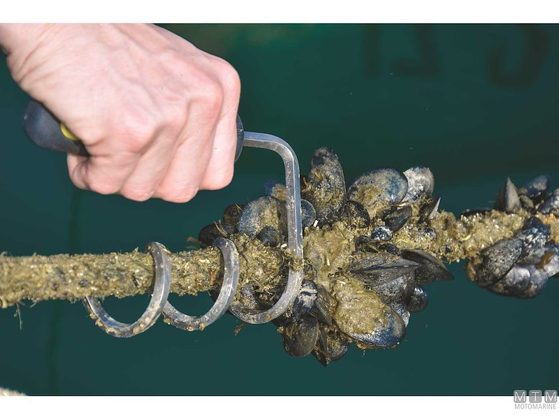 BOATASY ROPECLEANER 32MM 