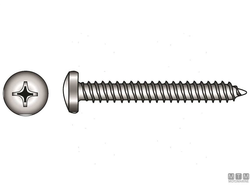Viti Autofilettanti Testa Cilindrica DIN 7981
