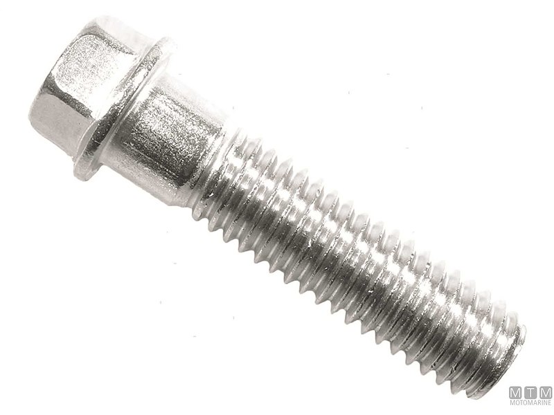 Bulloni e Dadi per Motori Mercury/Mercruiser