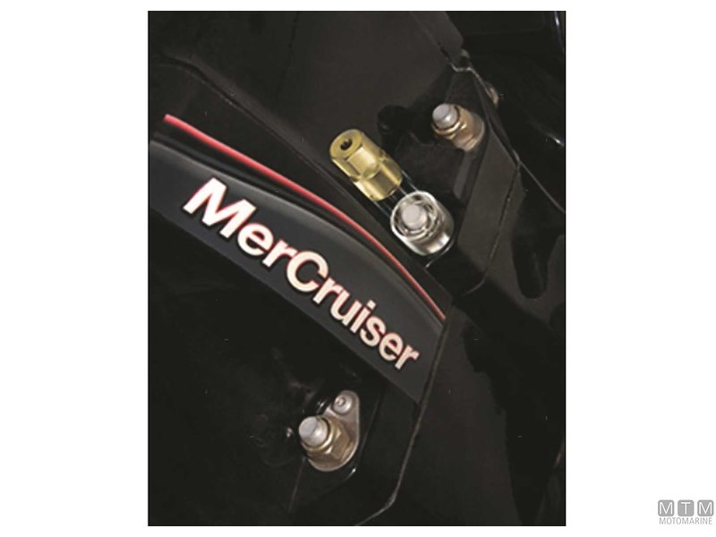 Antifurto McGard per Fuoribordo Piedi ed Eliche