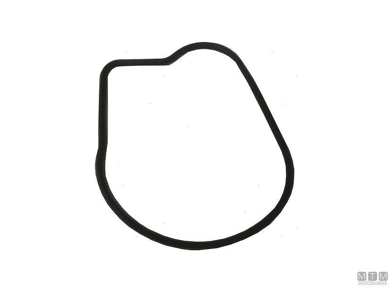 Guarnizione Pompa e Piede per Motori Honda