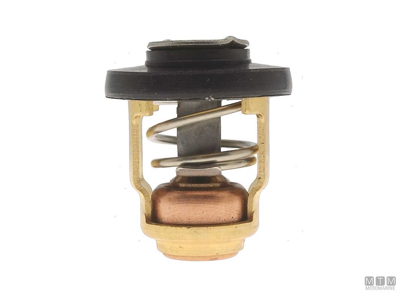 Termostato per Motori Honda