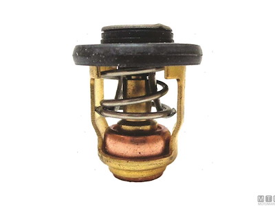 Termostato per Motori Yamaha