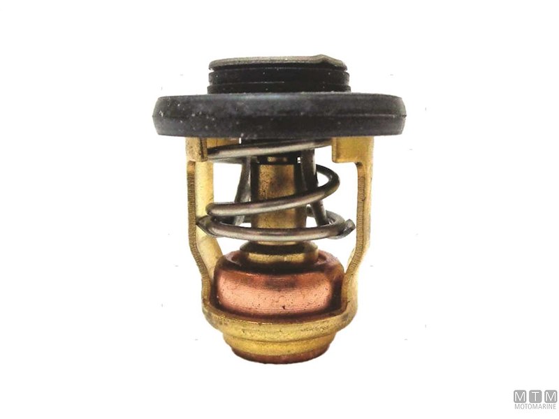Termostato per Motori Yamaha