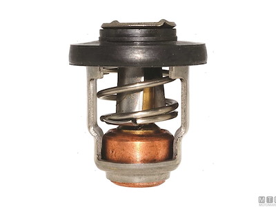 Termostato per Motori Mercury