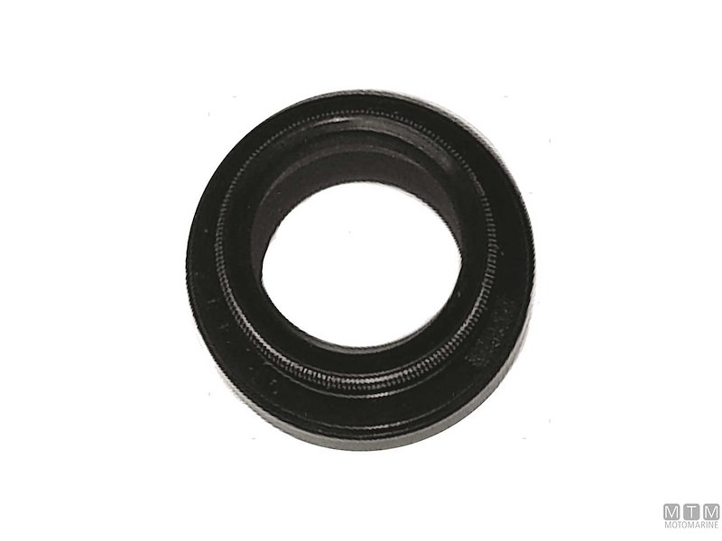 Guarnizione Paraolio per Motori Johnson/Evinrude