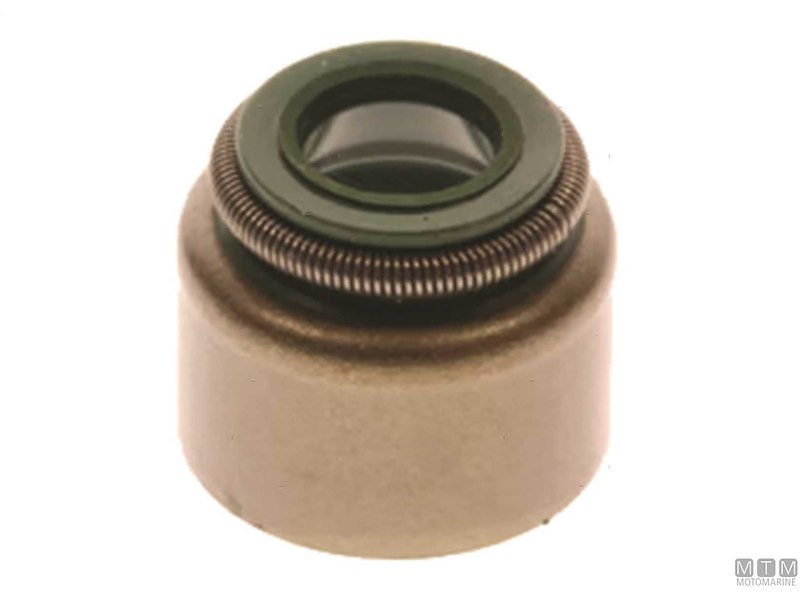 Guarnizione Paraolio per Motori Suzuki