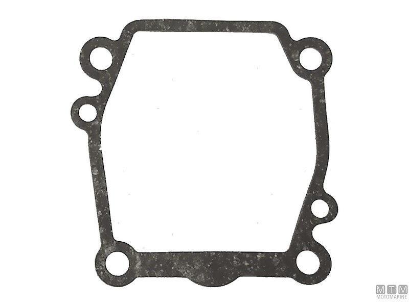 Guarnizioni Pompa/Piede per Motori Suzuki