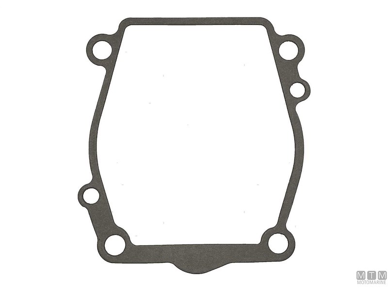 Guarnizioni Pompa/Piede per Motori Suzuki