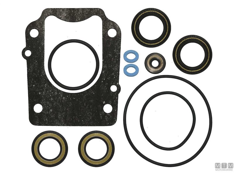 Kit Riparazione Pompa/Piede per Motori Suzuki