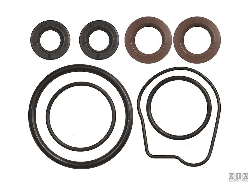 Kit Riparazione Pompa e Piede per Motori Honda