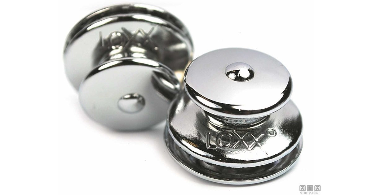 Borraccia Termica Rex London Con Bassotto | Acciaio Inox 500ml Con Cannuccia A Pulsante | Borraccia Scolastica Per Bambini