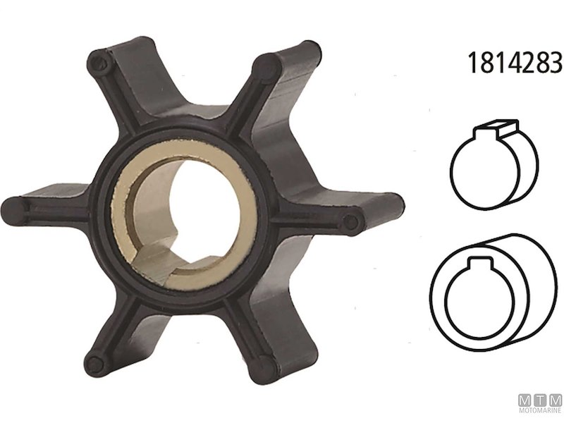 Giranti per Motori Johnson / Evinrude