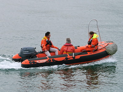 3D TENDER RESCUE 430 HYPALON ORANGE