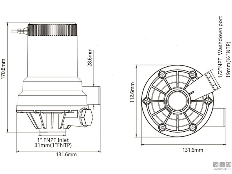 POMPA RULE TOURNAMENT LIVEWELL 1600 12V 