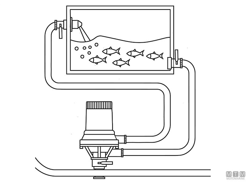 POMPA RULE TOURNAMENT LIVEWELL 1600 12V 