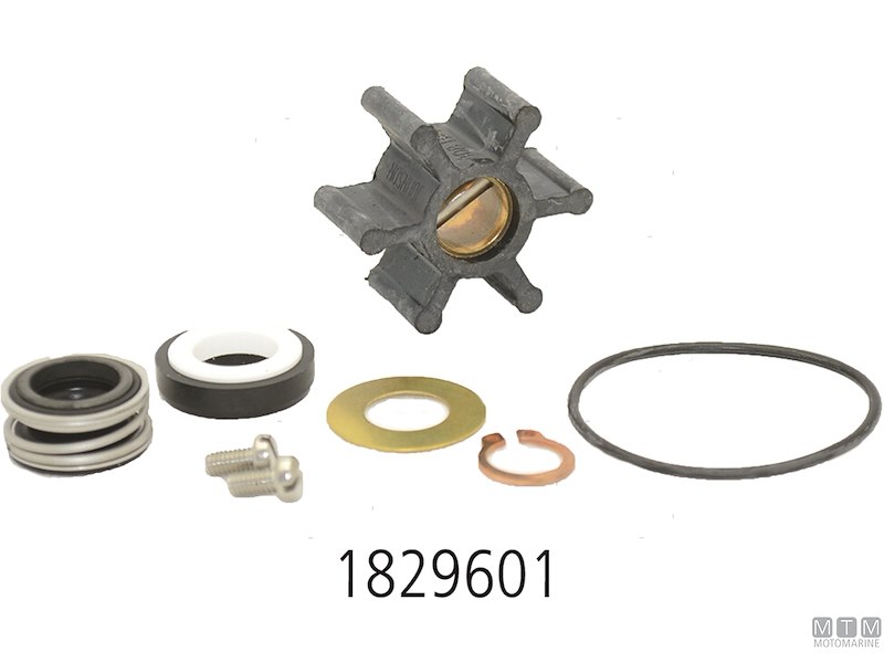 Service Kit per Pompe Johnson 